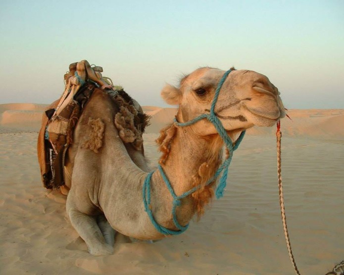 Egipt-Hurghada-2013-Karoltravel-13.jpg